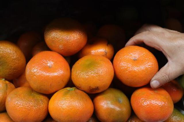  La mandarina es una fruta rica en vitamina C y antioxidantes. Foto: Andina   