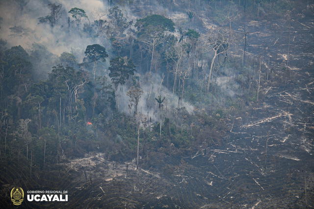  Incendio forestal en la región Ucayali. Foto: GORE Ucayali    