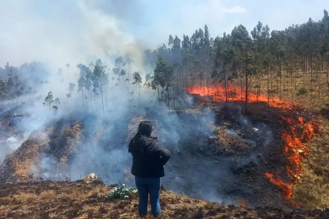  Incendios en la región La Libertad dejaron un saldo negativo de más de 1.000 hectáreas de cobertura vegetal destruidas. Foto: Andina    