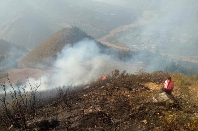  Incendios forestales reportados en las provincias de Santiago de Chuco y Sánchez Carrión, La Libertad. Foto: Andina    