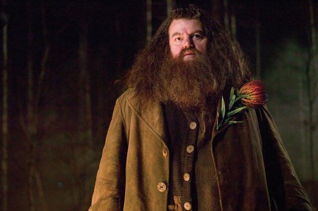  Robbie Coltrane en 'Harry Potter'. Foto: Warner Bros.   