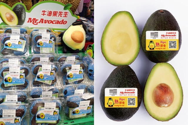 La palta peruana, especialmente la variedad Hass, ha ganado popularidad en China, donde los consumidores valoran sus propiedades nutricionales. Foto: Fresh Plaza   