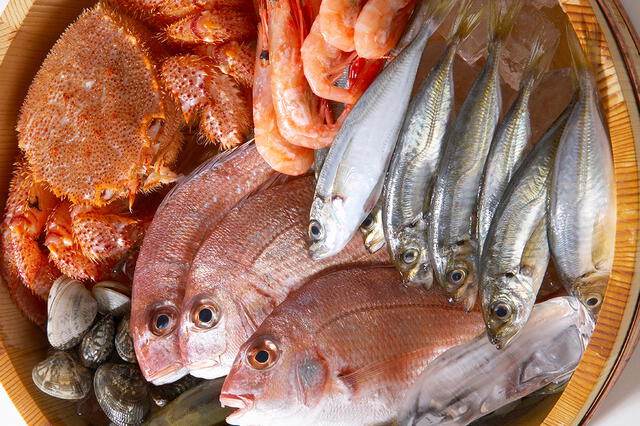 La contaminación marina por plásticos también afecta a las especies que comemos. Foto: Unplash La contaminación marina por plásticos también afecta a las especies que comemos. Foto: Unplash