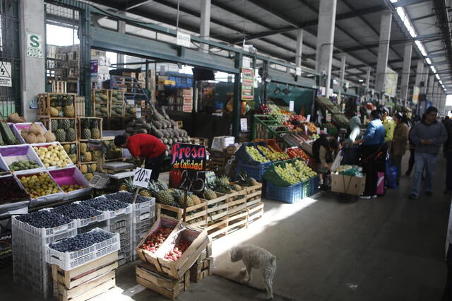 El elevado consumo de plaguicida en el ser humano podría generar cáncer. Foto: Marco Cotrina / La República.    