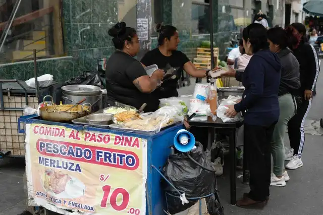 Si bien muchas personas no se enferman fácilmente, aquellos grupos vulnerables están más expuestos a la intoxicación. Foto: John Reyes / La República.    