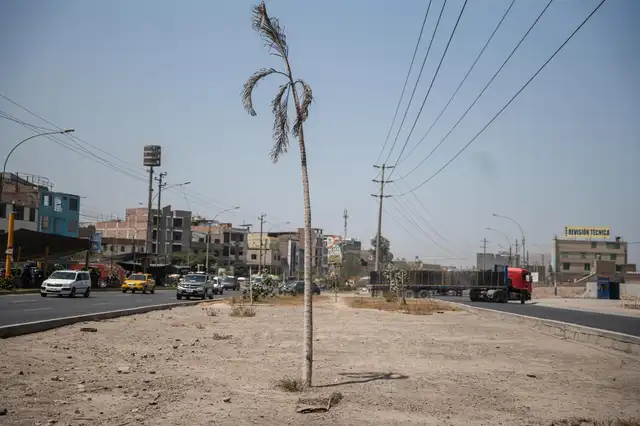  Entre los 40 distritos que no cumplen con el estándar de 9 m² de áreas verdes por habitante, cinco no alcanzan ni un solo m². Foto: John Reyes / La República.   