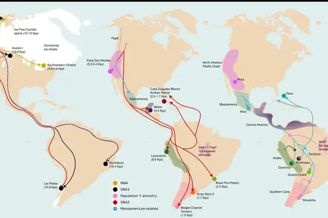 La investigación identificó una migración clave que ocurrió hace al menos 1.300 años, un evento clave para la configuración biológica de América. Foto: Smithsonian Magazine La investigación identificó una migración clave que ocurrió hace al menos 1.300 años, un evento clave para la configuración biológica de América. Foto: Smithsonian Magazine