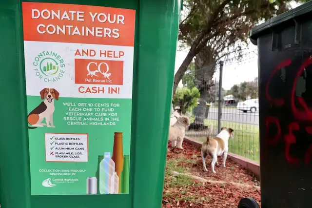 Nutley recoge unos 6.000 envases a la semana para su grupo local de rescate de animales. Foto: ABC News/Jasmine Hines