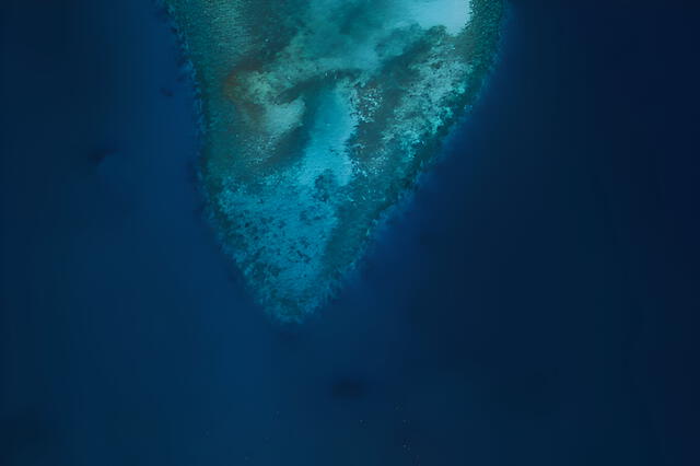 A detailed map shows the submerged lost continent of Eastern Zealandia, hidden under the Pacific Ocean for millions of years. Photo: Unplash A detailed map shows the submerged lost continent of Eastern Zealandia, hidden under the Pacific Ocean for millions of years. Photo: Unplash