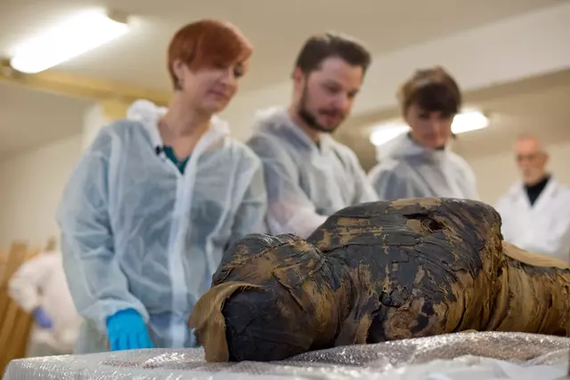 La momia egipcia embarazada es observada por los científicos del Proyecto de la Momia de Varsovia. Foto: Bartosz Bajerski Bajerski