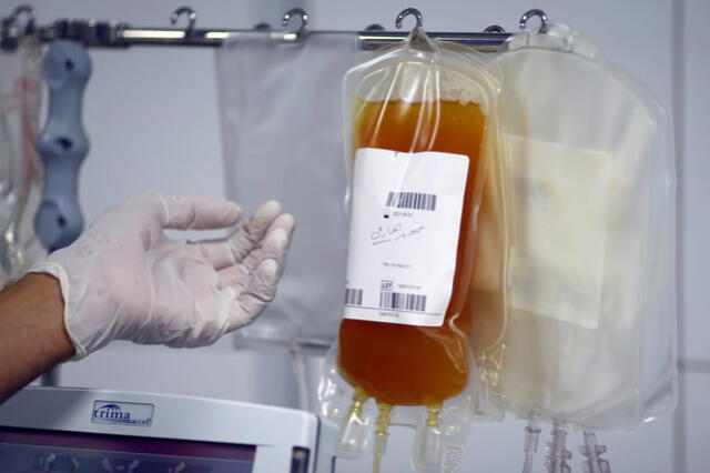 Una persona puede donar plasma hasta tres veces por mes, siempre y cuando cumpla ciertos parámetros establecidos por las autoridades sanitarias de cada país. (Foto: Reuters)