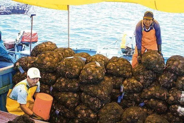 Los maricultores piden mayor resguardo a los trabajadores