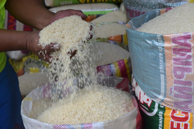 Producción de arroz estaría garantizada pese a lluvias en el norte