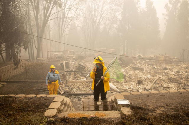 Incendio forestal en EE. UU.: ¿por qué ocurre y qué consecuencias se daría en el ecosistema?