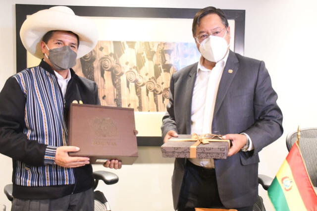 Pedro Castillo y Luis Arce Catacora, presidentes de Perú y Bolivia, respectivamente. Foto: Twitter de Luis Arce