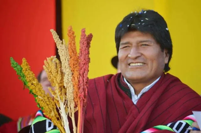 Bolivia entra al negocio de la exportación de quinua orgánica y China es su principal cliente
