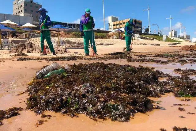 Jair Bolsonaro sostuvo que la culpa del derrame es de Venezuela.