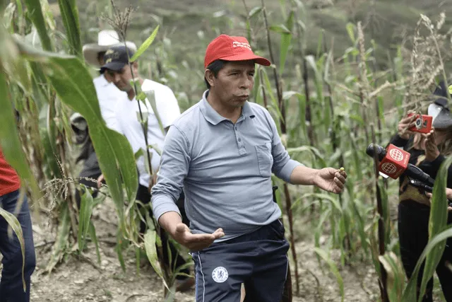 Pedro Castillo se alejó del escenario político en la mañana en Puña, Chota, Cajamarca. La República lo siguió hasta esa localidad. Foto: Aldair Mejia