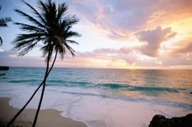 Barbados es un destino turístico por excelencia, pero resultó desafortunado para la pareja