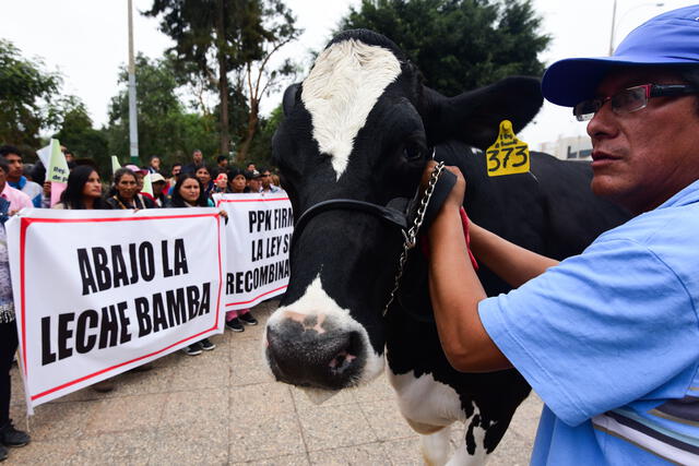 Ganaderos piden a PPK ley que prohíbe uso de la leche en polvo