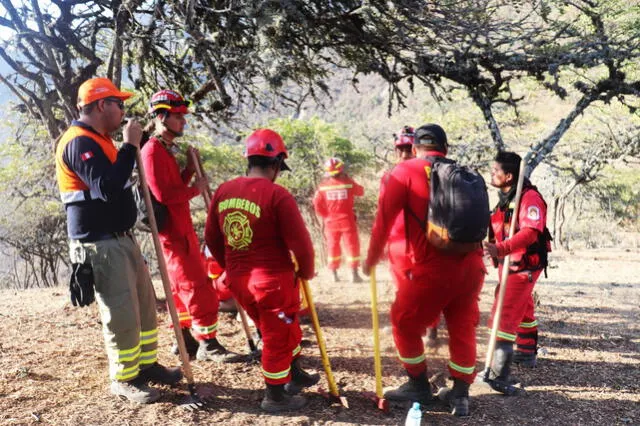 Bomberos acudieron rápidamente ante la primera alerta. Foto: GORE