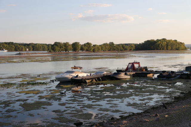 El descenso en el nivel del agua del río Rin han generado que muchos ferrys paren sus actividades. Foto: AFP