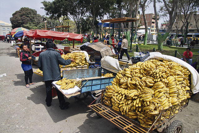 Falta de recursos afecta adecuada operatividad de parque Las Fuentes