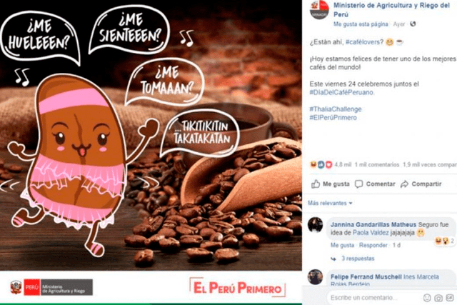 Redes sociales: Usuarios crearon graciosos memes tras el #ThaliaChallenge 