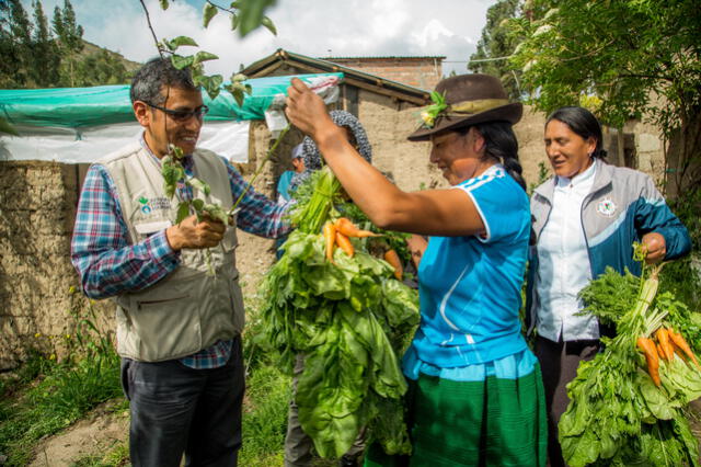 Ollas comunes en Ayacucho