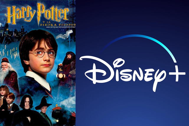 Harry Potter no se encontraría en la plataforma de Disney Plus