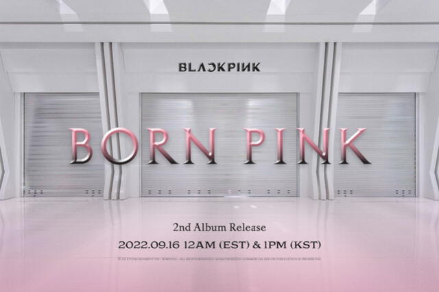 BLACKPINK y BORN PINK