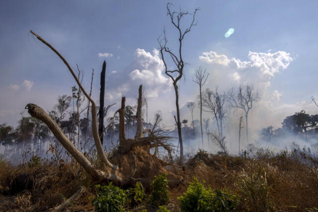 Incendio en Amazonas. Foto: AFP.
