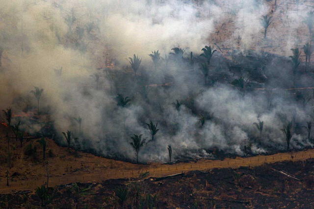 El número de incendios en el Amazonas se han incrementando considerablemente respecto al 2018.