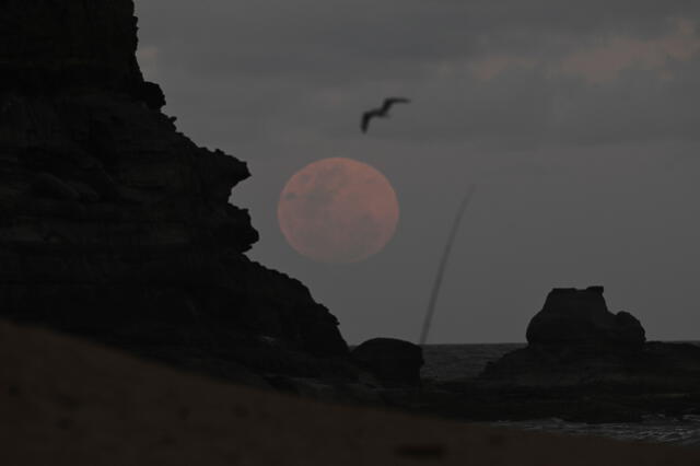 Eclipse lunar total en Australia