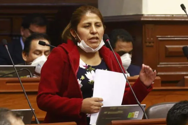 Congresista Yessica Apaza, Unión por el Perú.