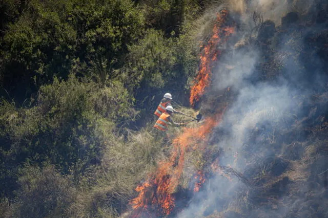 Daño ecológico. Incendios arreciaron en esta época, malas prácticas en el campo devastaron bosques.