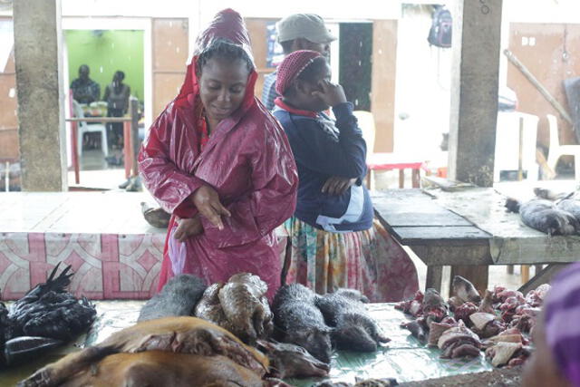 Los pangolines se venden en varios mercados del mundo, como en Gabón (África). Foto: AFP