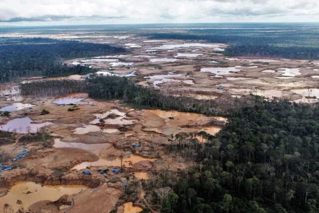 Cuarentena: deforestación en la Amazonía peruana se redujo en más de un 28%