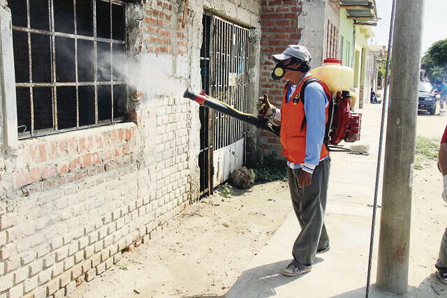 Ocho mil posibles casos de dengue se registran en Piura tras lluvias