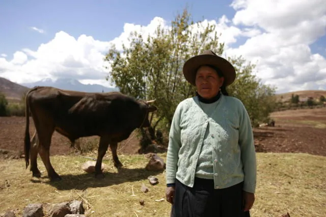 Mujeres shipibas y quechuas revelan: “Nos esterilizaron a la fuerza”