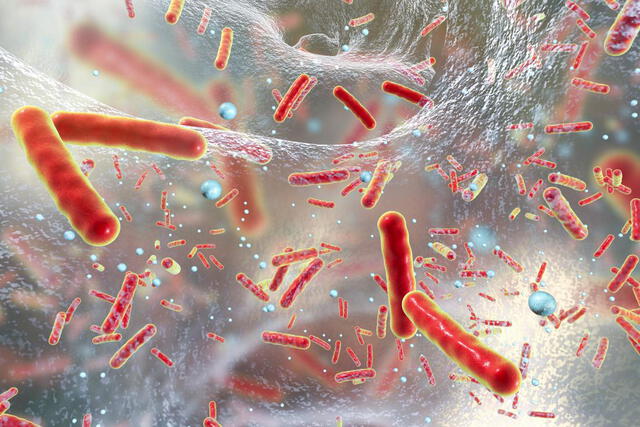 Según Issmat Kassem, el autor principal del estudio, la presencia de MCR-9 en la bacteria Morganella morganii sugiere que podría estar más extendido de lo que se cree ahora. Foto: Medical News Today