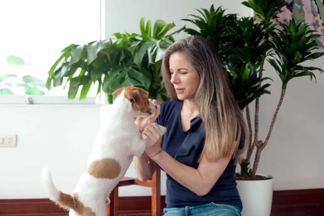 Mike te cuida, la primera plataforma virtual de atención para mascotas en Perú