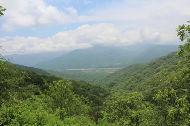 Área de Conservación Regional Bosques Secos de Salitral-Huarmaca, Foto: Gore Piura