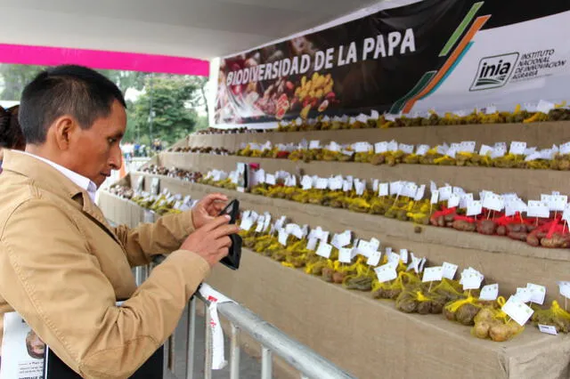La papa, oriunda del Perú, se produce más en China, India, Rusia y EEUU 