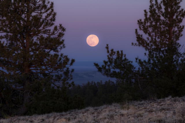 La Luna rosa podrá observarse desde ambos hemisferios del planeta el 16 de abril. Foto: Pxhere