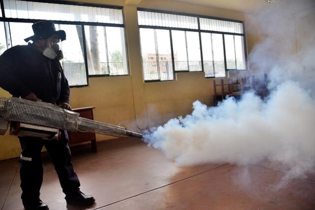 Madre de Dios: inician fumigación contra el dengue en instituciones educativas