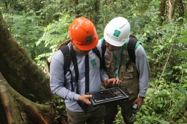 Fortalecerán supervisión ante delitos forestales con nuevas tecnologías