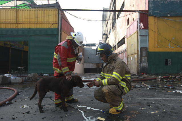 Bomberos logran ingresar a la galería Nicolini en busca de los desaparecidos [FOTOS]