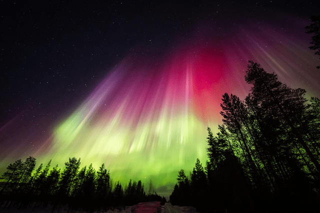  Las auroras boreales ocurren cuando las partículas de energía solar entran en contacto con los gases de la atmósfera terrestre. Foto: AFP   