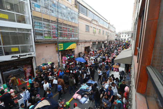 De acuerdo a Elsie Guerrero, detrás de la informalidad hay un gran problema de empleo en el Perú. Foto: Andina    